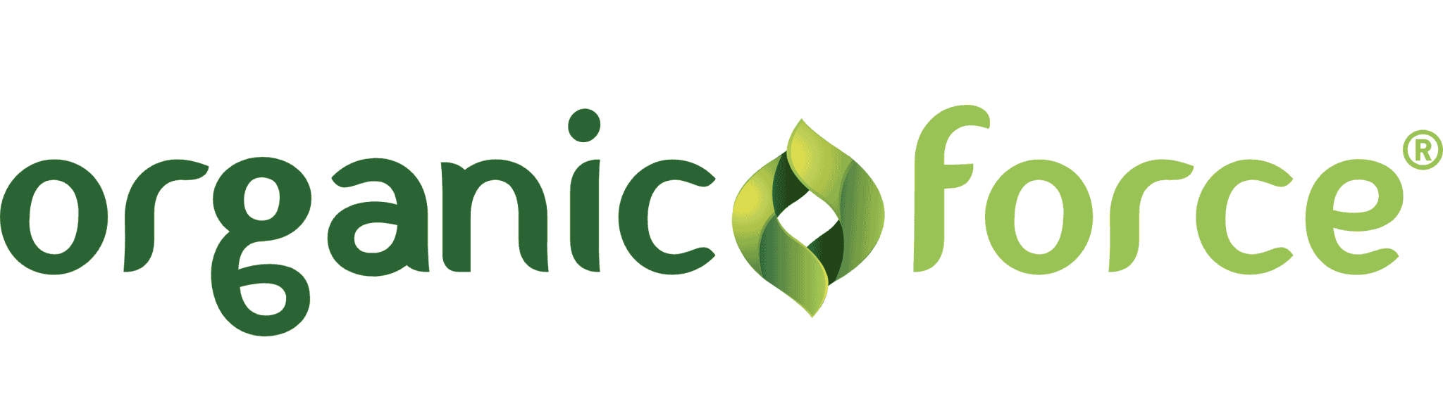 DogleDesign.hu analytics